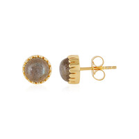 Orecchini in argento con Labradorite