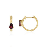 Orecchini in argento con Rodolite Lampone