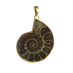 Ciondolo in argento con Ammonite