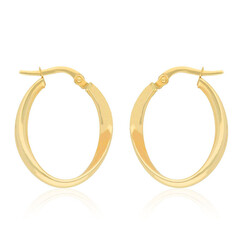 Orecchini in oro