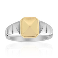 Anello in argento con Zircone (Remy Rotenier)