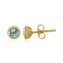 Orecchini in argento con Topazio Blu Cielo