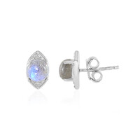 Orecchini in argento con Labradorite