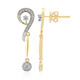Orecchini in oro con Diamante SI1 (G) (Annette)