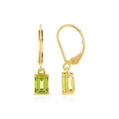 Orecchini in argento con Peridoto Arizona