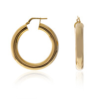Orecchini in argento (Joias do Paraíso)