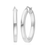 Orecchini in argento
