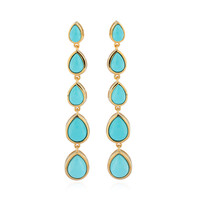 Orecchini in argento con Turchese Sleeping Beauty (de Melo)