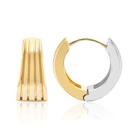 Orecchini in argento