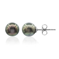 Orecchini in argento con Perla Tahitiana (TPC)