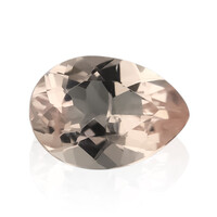Gemma con Morganite Pesca