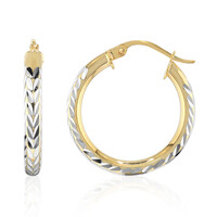 Orecchini in argento