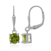 Orecchini in argento con Peridoto della Birmania