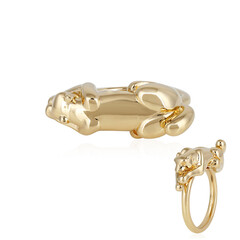 Anello in argento