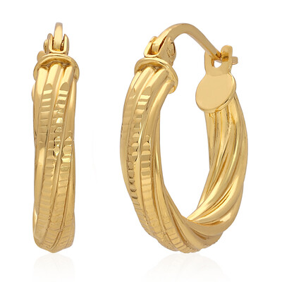 Orecchini in argento
