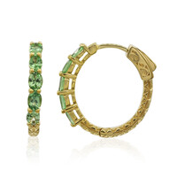 Orecchini in argento con Tsavorite