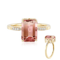 Anello in oro con Tormalina Bicolore (AMAYANI)