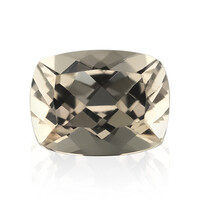 Gemma con Morganite Pesca