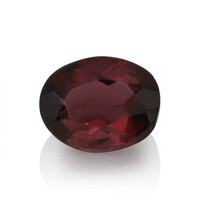 Gemma con Rubellite 0.374 ct