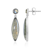Orecchini in argento con Labradorite