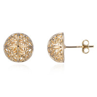 Orecchini in argento