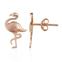 Orecchini in argento