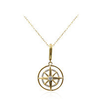 Collana in oro con Diamante I1 (H) (Smithsonian)