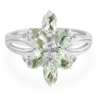 Anello in argento con Ambligoniti