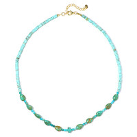 Collana in argento con Turchese Royston (Riya)