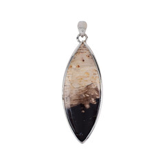 Ciondolo in argento con Legno Fossile