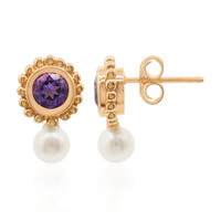 Orecchini in argento con Ametista