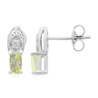 Orecchini in argento con Apatite Xia