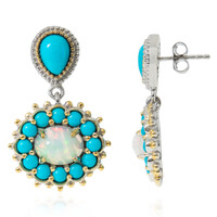 Orecchini in argento con Opale di Welo (Dallas Prince Designs)
