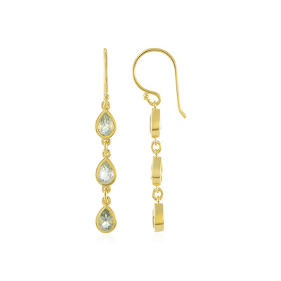 Orecchini in argento con Ametista Verde