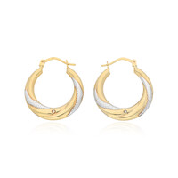 Orecchini in oro con Diamante PK (H)