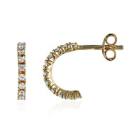 Orecchini in argento con Zircone