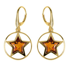Orecchini in argento con Ambra Baltica