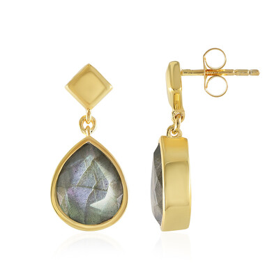 Orecchini in argento con Labradorite