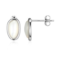 Orecchini in argento con Madreperla