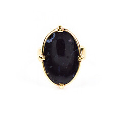 Anello in argento con Legno di Palma Pietrificato