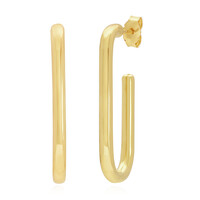 Orecchini in argento