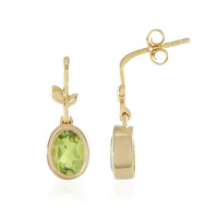 Orecchini in argento con Peridoto
