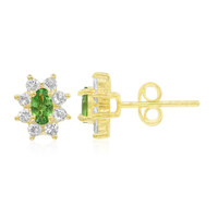 Orecchini in argento con Tsavorite