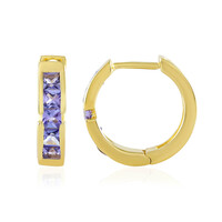 Orecchini in argento con Tanzanite