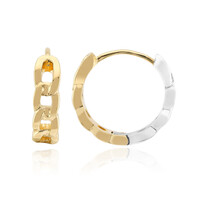 Orecchini in argento