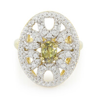 Anello placcato in oro con Granato Andradite