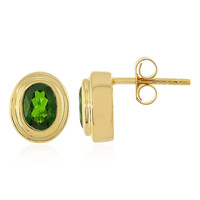Orecchini in argento con Diopside Russo