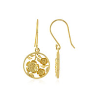 Orecchini in argento