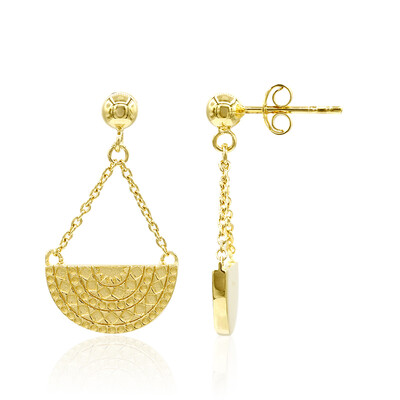 Orecchini in argento