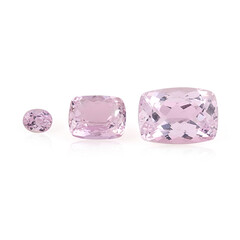 Gemma con Kunzite 11,709 ct